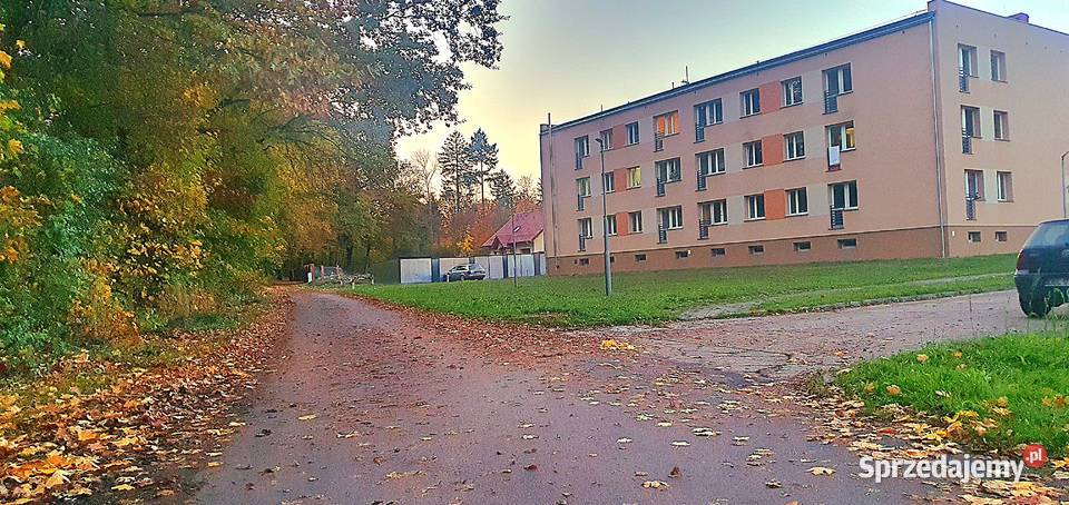 Mieszkanie 2pokojowe 50mkw Nowa Wieś kBolesławca