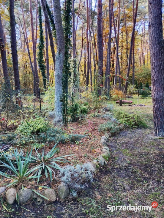Piękną działkę Narwią sprzedam 248zł/m2 Sikory