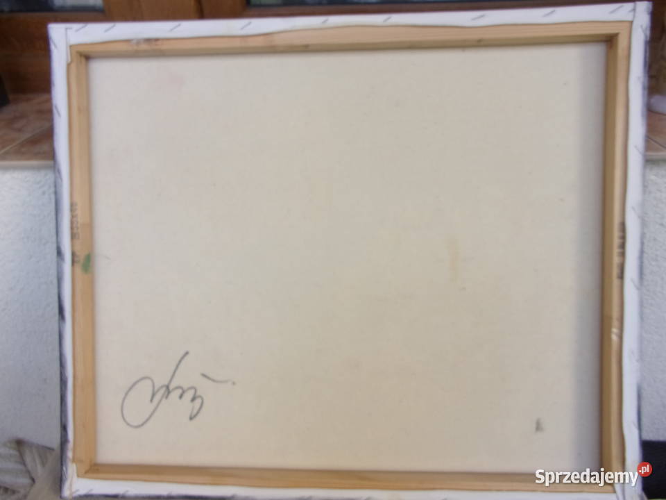 Obraz pieknych kolorowych kwiatów Olej na Warszawa