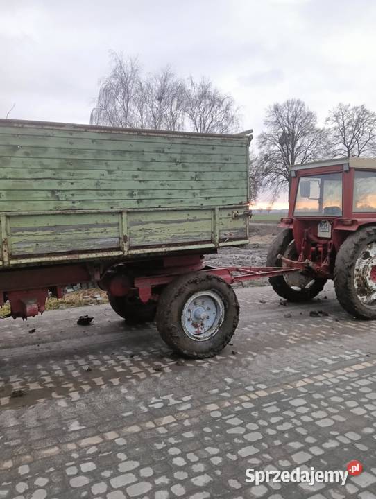 Przyczepa przyczepy Krone Żerków