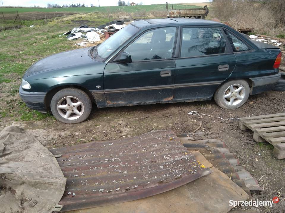 OPEL ASTRA F całą na części Rok produkcji 1993 Astra Skalbmierz