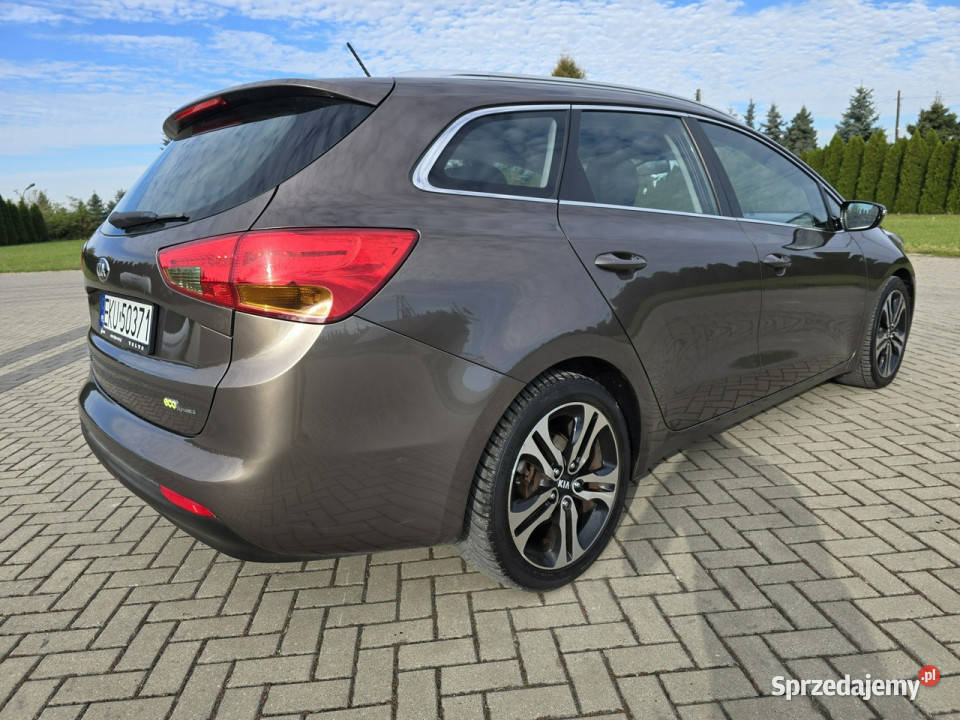 Kia Ceed 16Benzyna czujnik parkowania Kutno