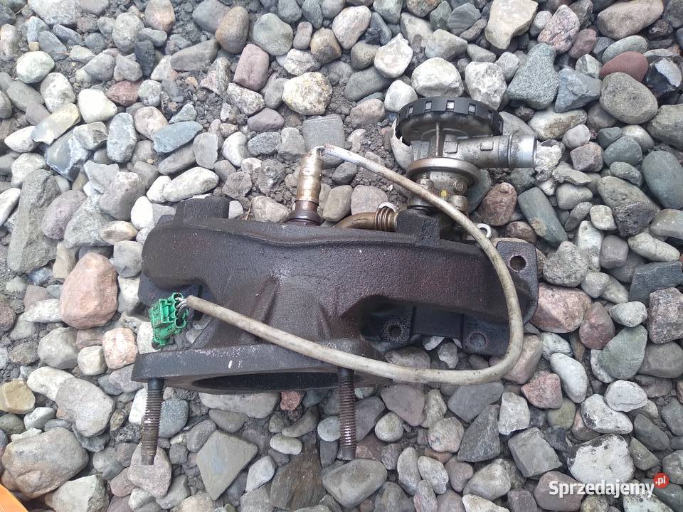 Citroen c2 14 8V kolektor wydechowy 423586 osobowe Bobrówko sprzedam
