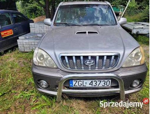 Syndyk sprzeda udział 12 w samochodzie osobowym Terracan zachodniopomorskie Szczecin