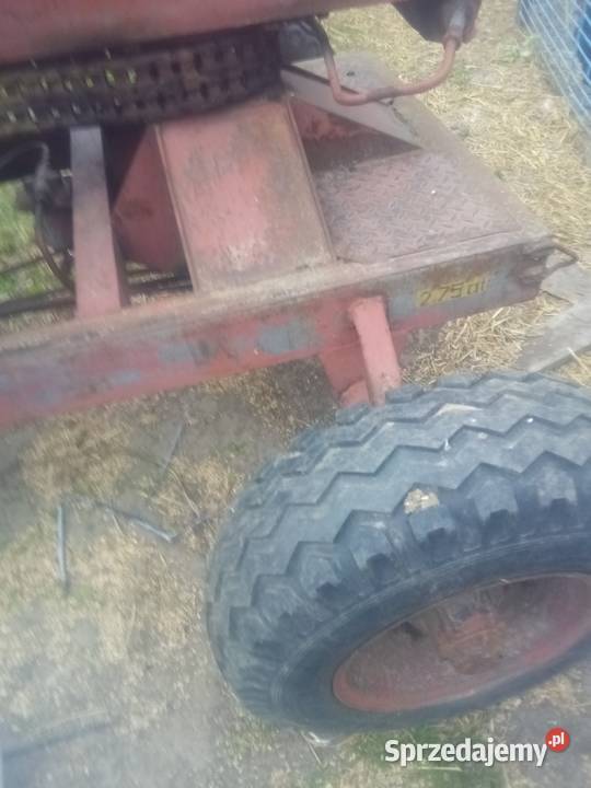 Cyklop ładowacz kołowy Teresin