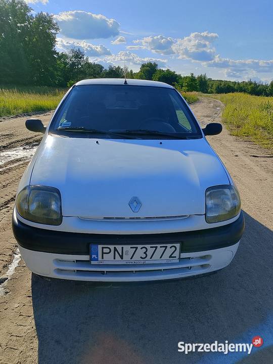 Renault Clio benzyna