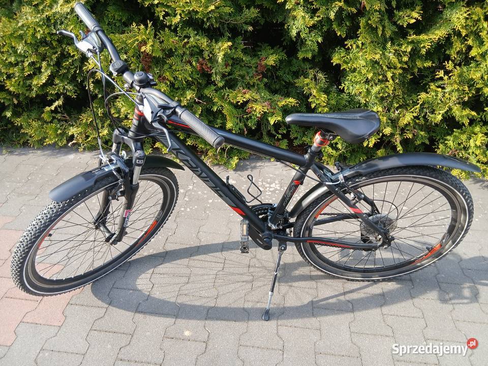 Sprzedam wielkopolskie
