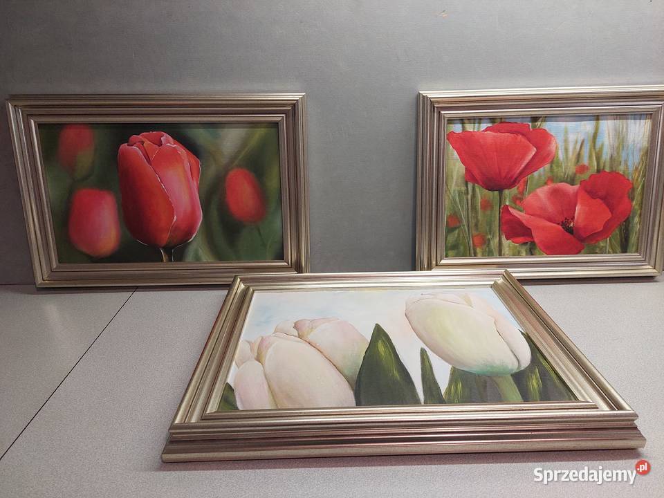 Kwiaty w jasnozłotej ramie trzy obrazy dolnośląskie