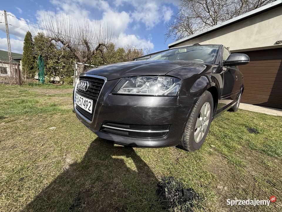 Audi A3 sportback 16TDI 105 manualna Przedbórz