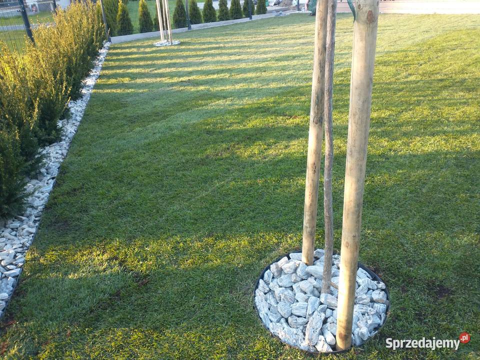 Niwelacja terenu zakładanie trawnikówprace prace ogrodowe