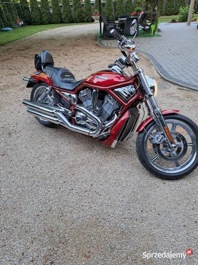 HARLEJ DAVIDSON VROD VRSCSE Tychy sprzedam