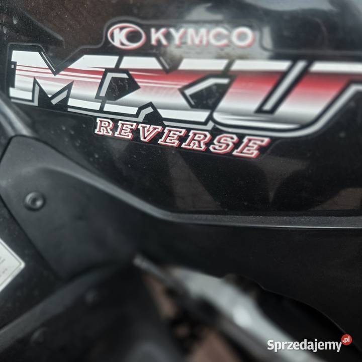 Quad Kymco 50 automat Kymco Gryfino