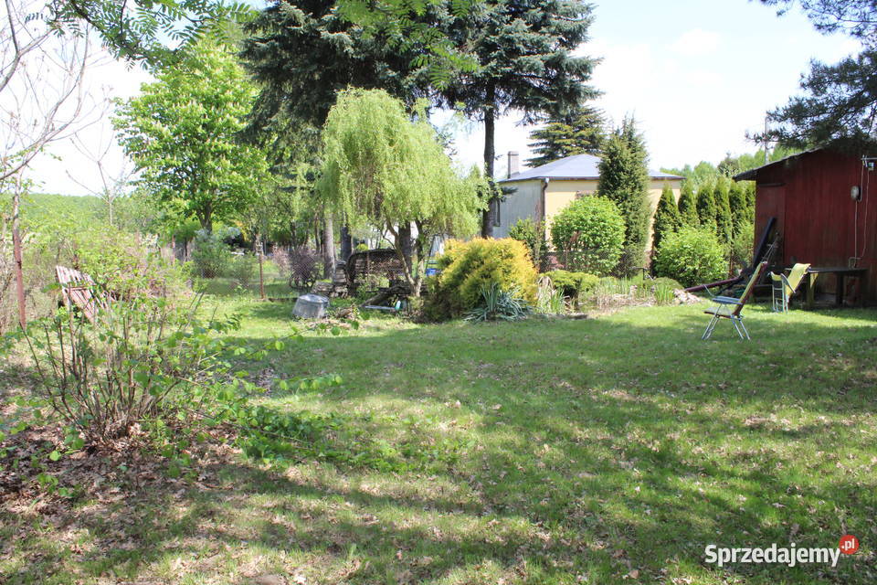 Działka ROD RELAX Nowosolna łódzkie Łódź sprzedam