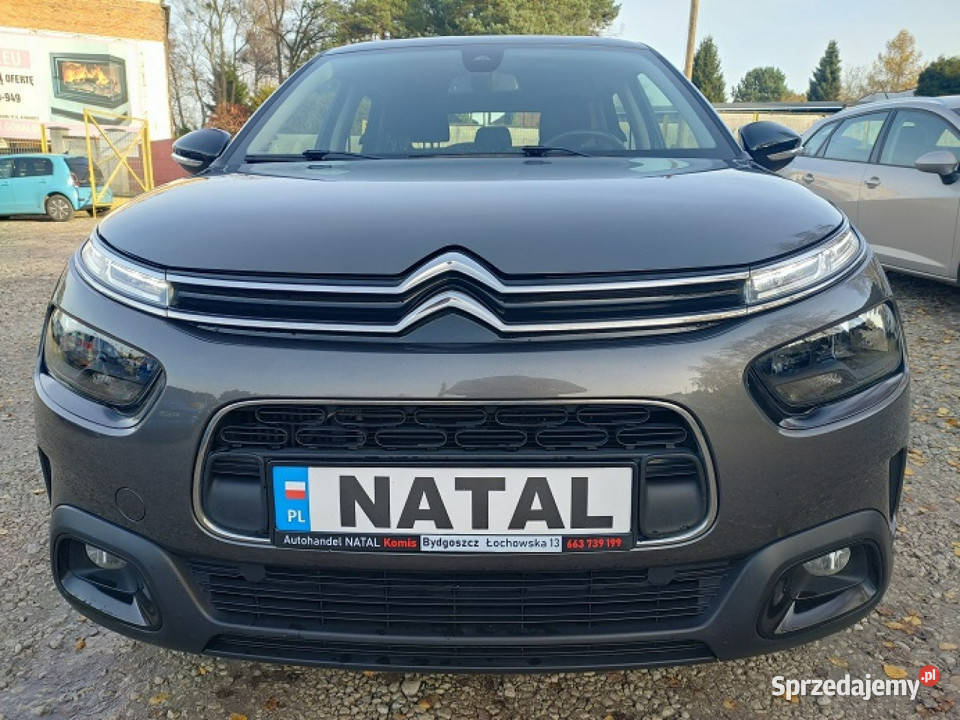 Citroen C4 Cactus Bogate wyposażenie I 2014 szary Bydgoszcz