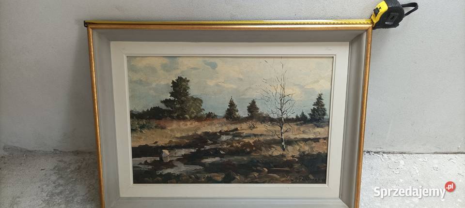 Piękne duże obrazy malowane na płótnie Piekoszów sprzedam