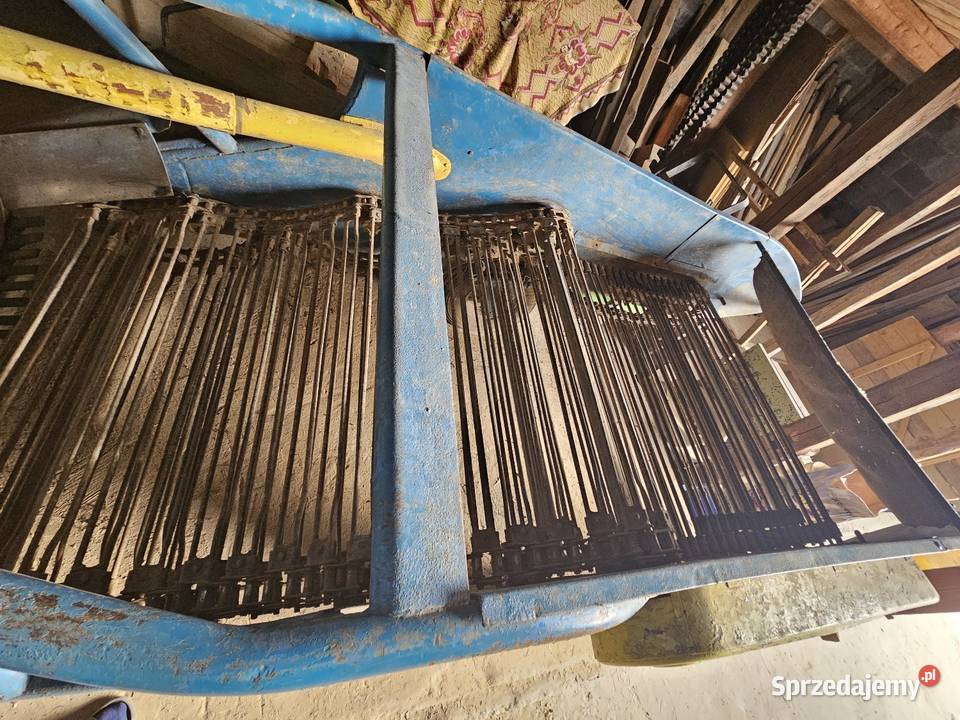 Kopaczka elewatorowa małopolskie Jeżówka