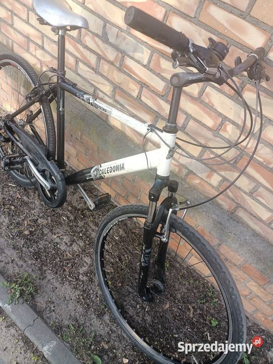 Rower Caledonia koła 28 Toruń sprzedam