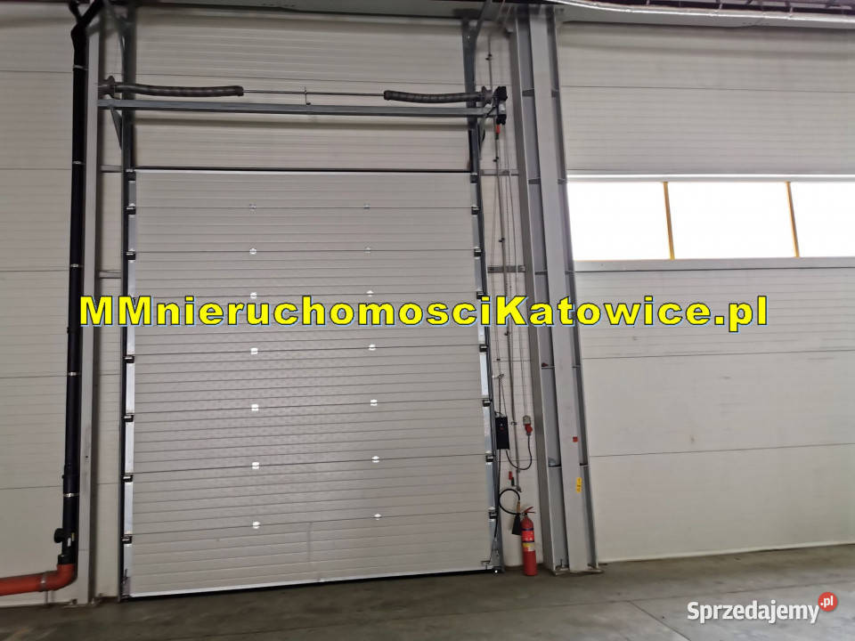 wynajmu lokalu 743m2 Katowice