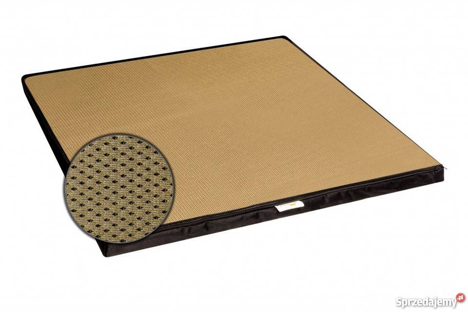 Matymata dezynfekcyjnado dezynfekcji 100x90x4 łódzkie Łódź