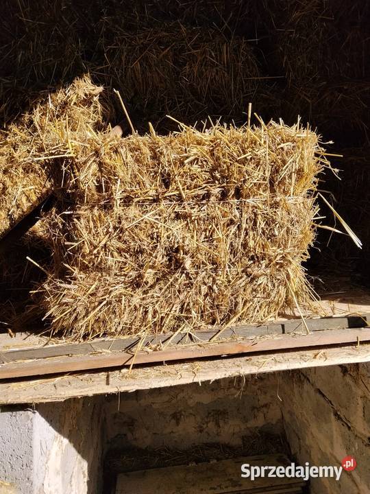 Słoma pszenżytnia Żarki