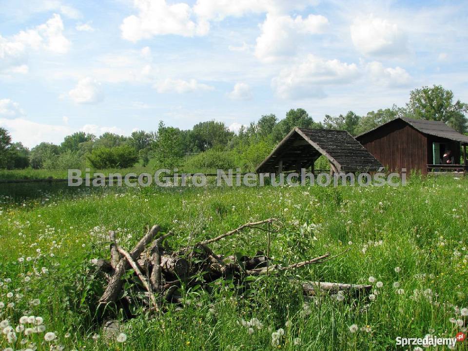 działka 32500m2 Piaski Duchowne 32500m2 Piaski Duchowne