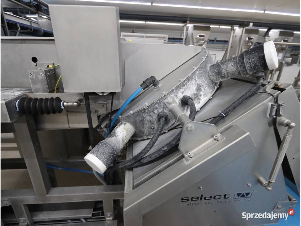 Select Agroselector 6T3M sortownik optyczny Krotoszyn