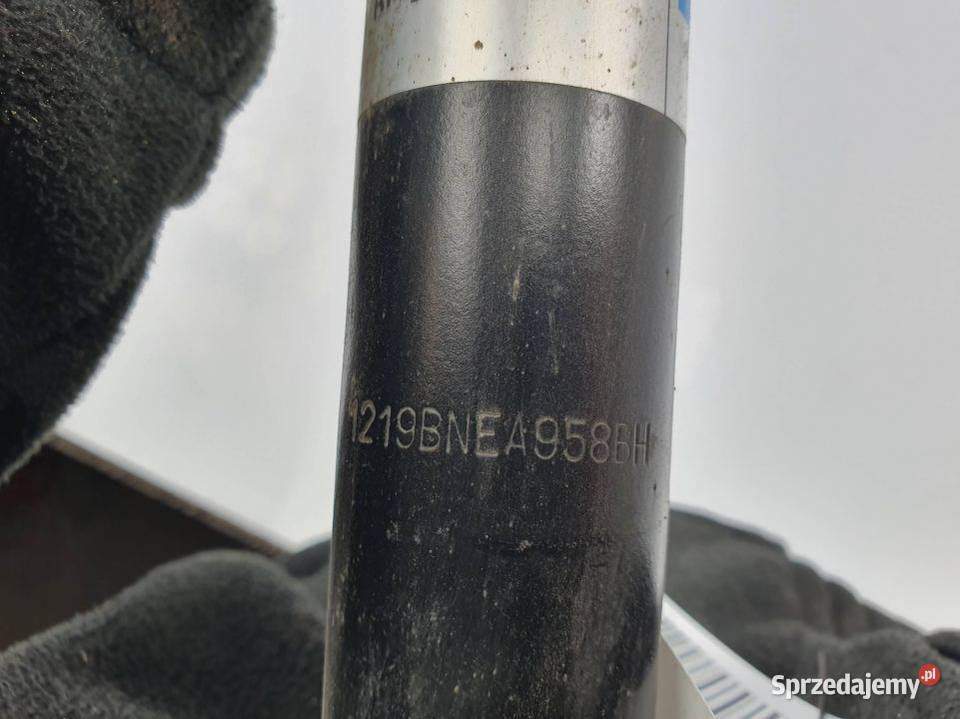 AMORTYZATOR PRAWY TYŁ SEAT TOLEDO 19109589 Lipno