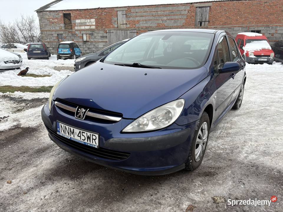 Peugeot 307 1616v zadbany Nowe Miasto Lubawskie
