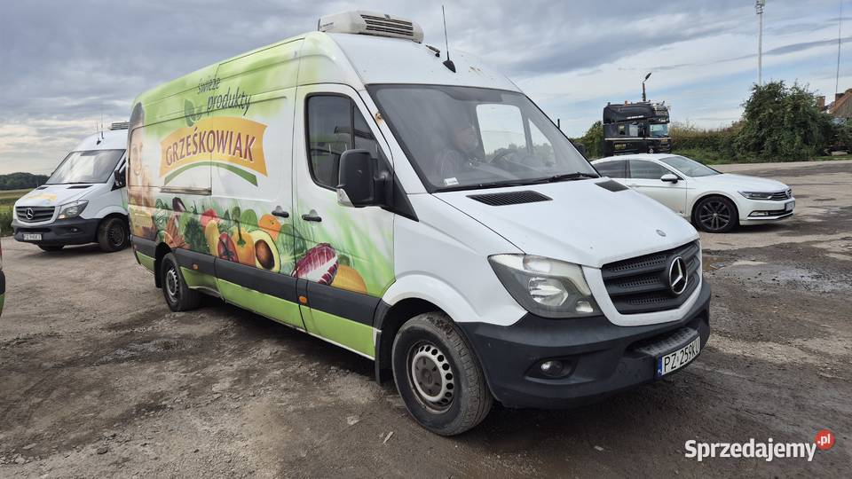 MERCEDES SPRINTER 313 CDI MAXI 2016 CHŁODNIA śląskie Częstochowa