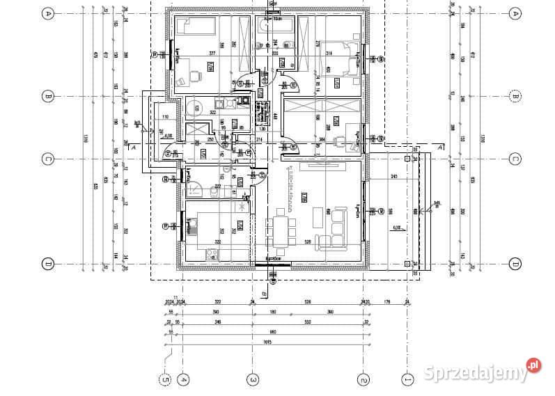 Dom w stanie deweloperskim