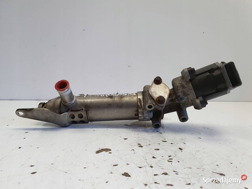 Land Rover Discovery III 27 TD V6 CHŁODNICA osobowe Rudka sprzedam