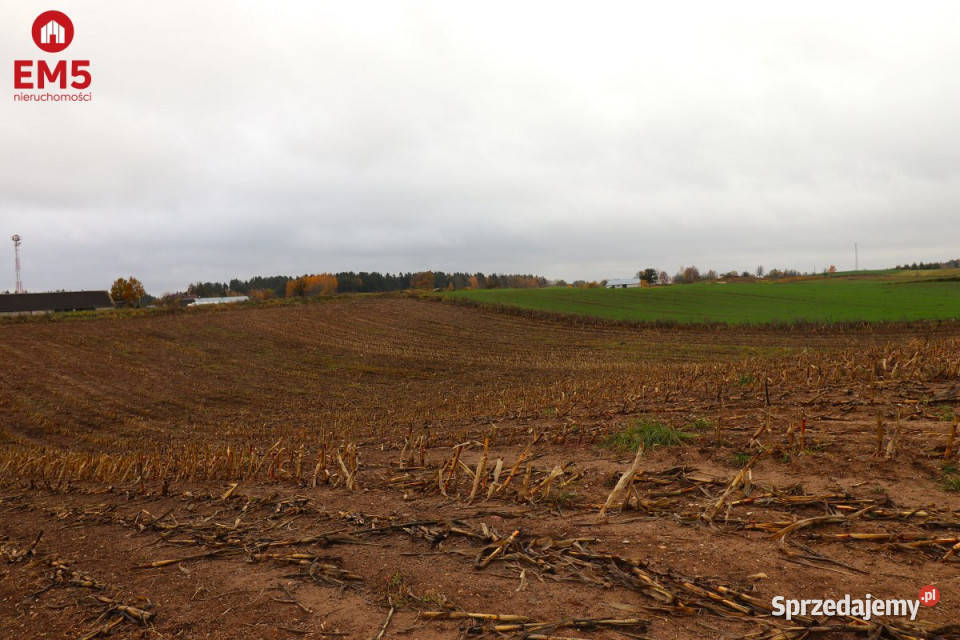 Działka 12000m2 Żegary sprzedam