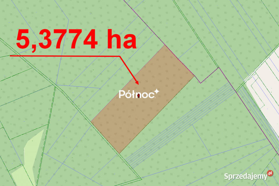 Las na sprzedaż Mokre gm Rossosz udział 146m