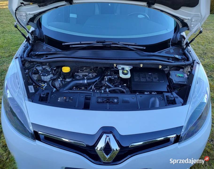 Renault Grand Scenic BOSE 7osob Grand Scenic Krosno