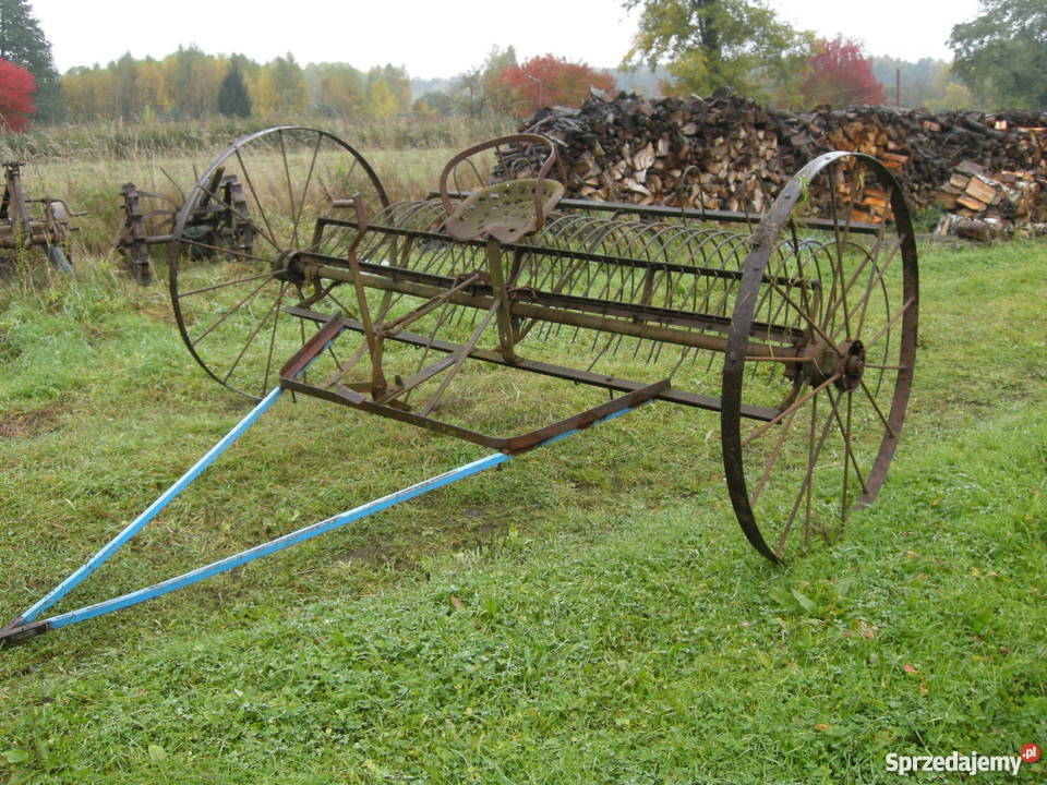 Zabytek dekoracja ozdoba ogrodowa zgrabiarka Danków sprzedam