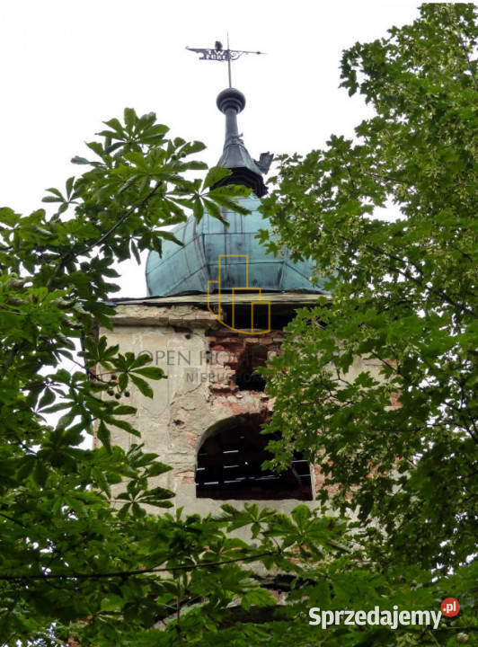 DomPałac obiekt zabytkowy wybudowany w 1782r Rok budowy 1782