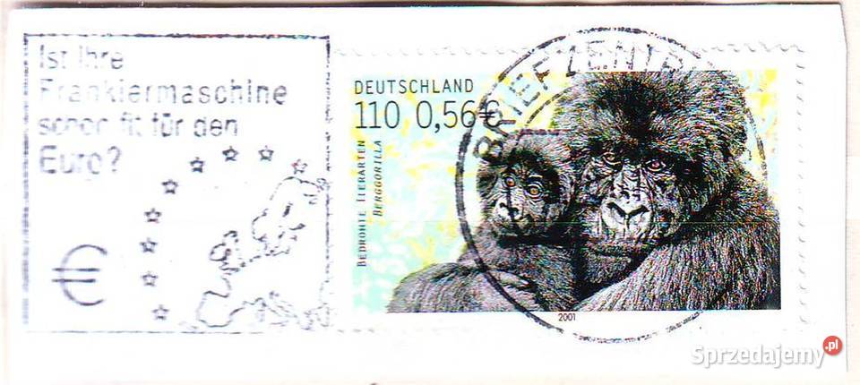 Zn RFN Wycinek Mi 2182 kas 2001 Gliwice