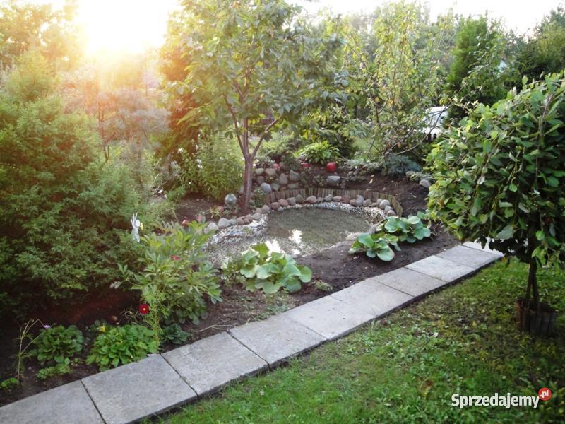 Działka rekreacyjna Łagiewnik z domkiem Łódź