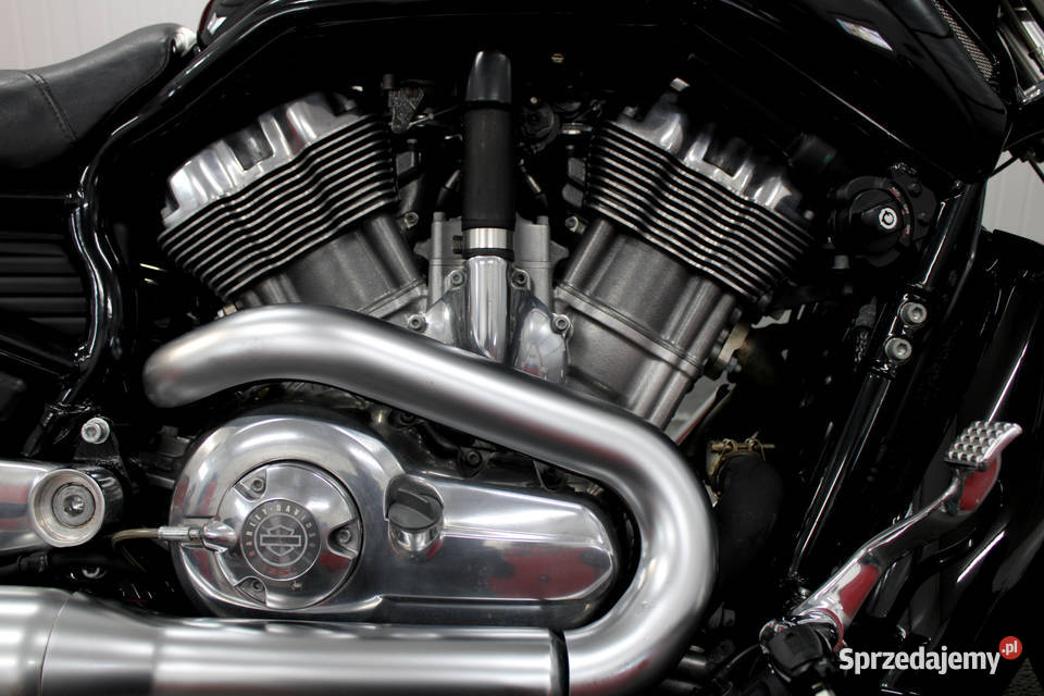 HD VROD MUSCLE w pełnym oryginale Unikat Harley-Davidson mazowieckie Nowy Dwór Mazowiecki sprzedam