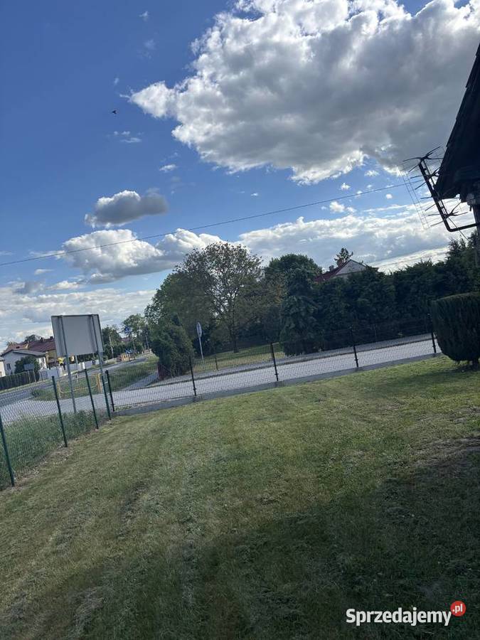 Usługi ogrodniczo transportowe Kielce ogród