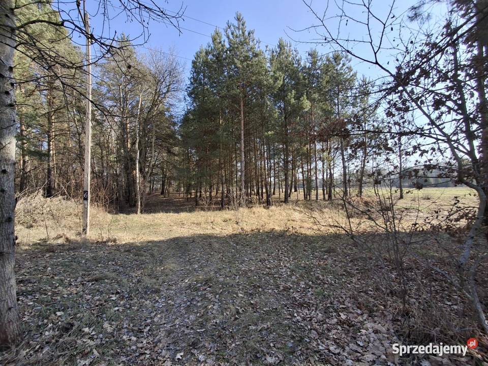 Piękna zadrzewiona działka budowlana w lubelskie Wola Gardzienicka