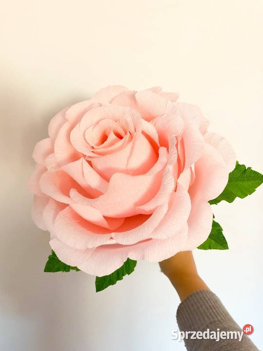 Duża róża z krepiny włoskiej Zielona Góra