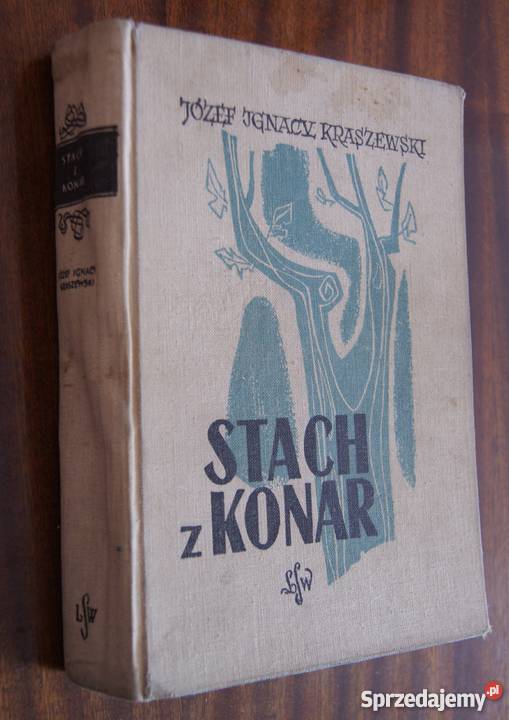 Józef Ignacy Kraszewski Stach z Konar Parczew sprzedam