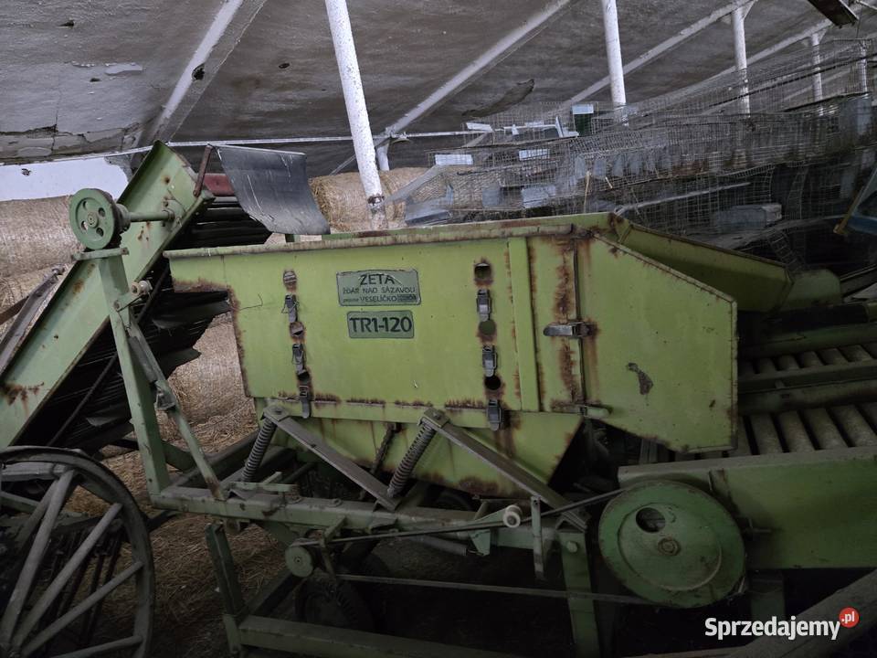 Sortownik warzyw ziemniaków Sortowniki Nysa