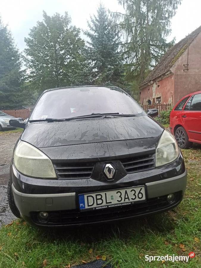 RENAULT SCENIC 20 BENZYNA 2004 PANORAMA MANUAL ESP