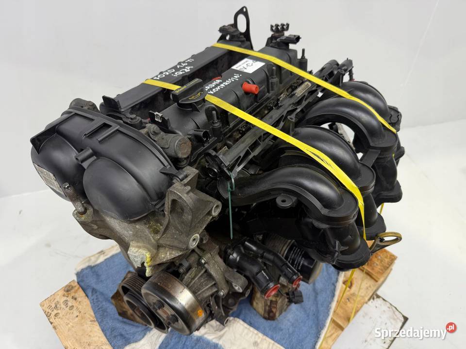 SILNIK Ford B B Fiesta VII MK7 16 16V Ti benzyna osobowe Chełm