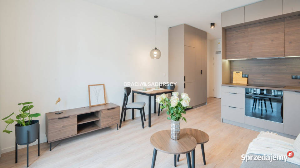Mieszkanie na wynajem 251m2 1 pokojowe Kraków 25.1m2 Wynajem małopolskie