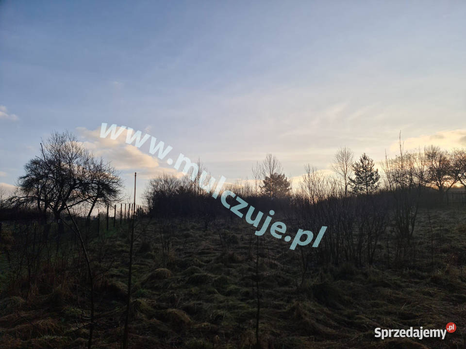 Mulczowanie wgłębne i powierzchowne Karczowanie Limanowa