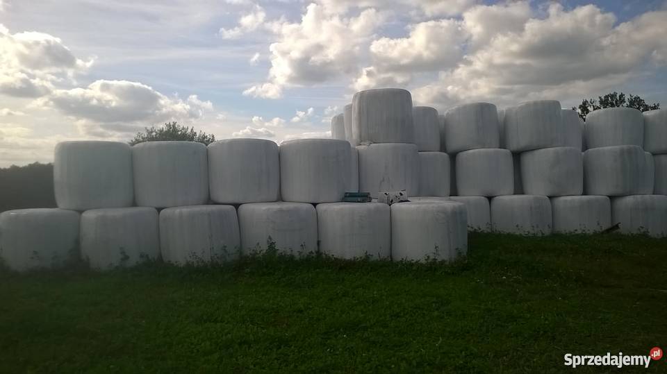 Baloty sianokiszonka Sętal