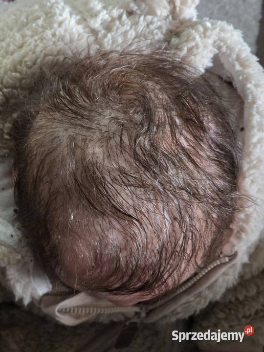 Realistic Reborn Doll Yeterllen